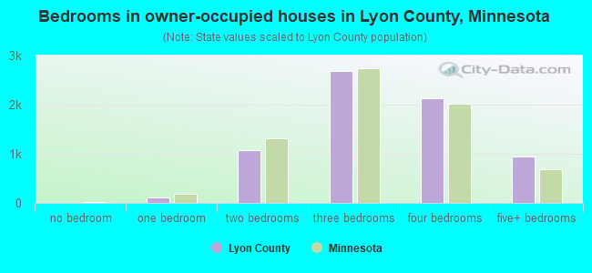 Bedrooms in owner-occupied houses in Lyon County, Minnesota