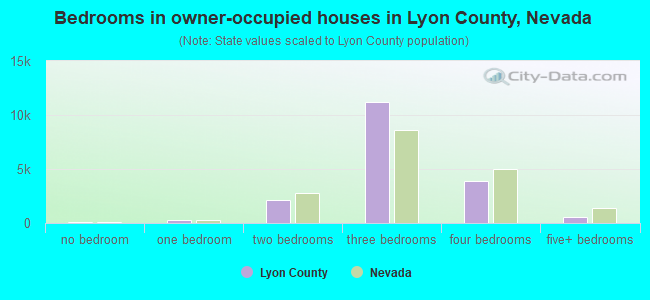 Bedrooms in owner-occupied houses in Lyon County, Nevada