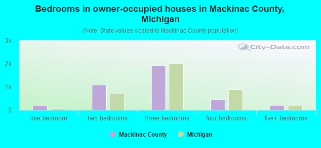 Bedrooms in owner-occupied houses in Mackinac County, Michigan