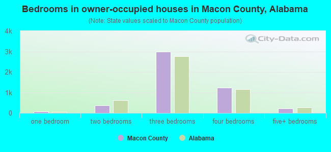 Bedrooms in owner-occupied houses in Macon County, Alabama