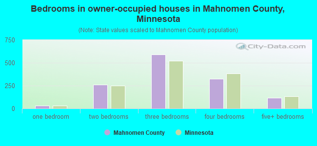 Bedrooms in owner-occupied houses in Mahnomen County, Minnesota
