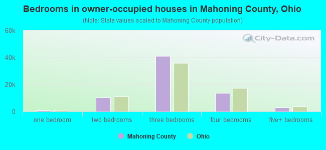 Bedrooms in owner-occupied houses in Mahoning County, Ohio