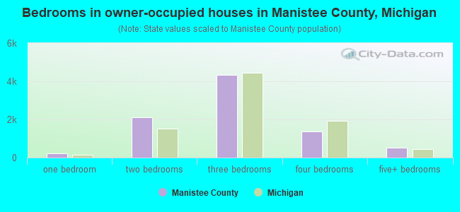 Bedrooms in owner-occupied houses in Manistee County, Michigan