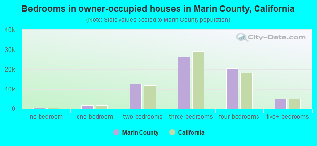 Bedrooms in owner-occupied houses in Marin County, California