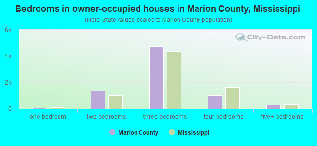 Bedrooms in owner-occupied houses in Marion County, Mississippi