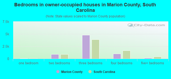 Bedrooms in owner-occupied houses in Marion County, South Carolina
