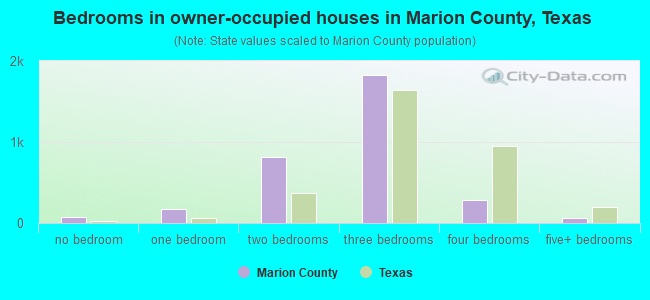 Bedrooms in owner-occupied houses in Marion County, Texas