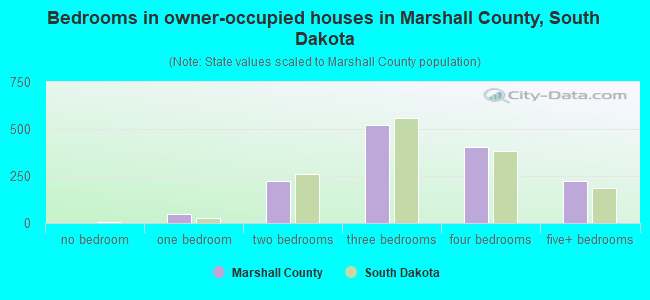 Bedrooms in owner-occupied houses in Marshall County, South Dakota