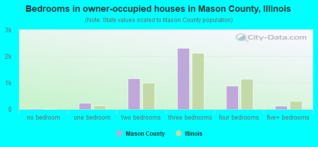 Bedrooms in owner-occupied houses in Mason County, Illinois