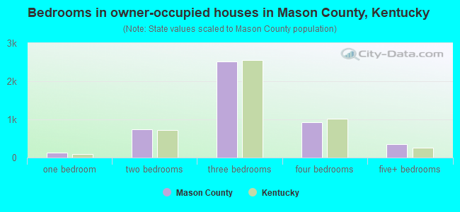 Bedrooms in owner-occupied houses in Mason County, Kentucky