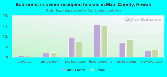 Bedrooms in owner-occupied houses in Maui County, Hawaii