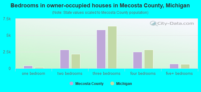 Bedrooms in owner-occupied houses in Mecosta County, Michigan