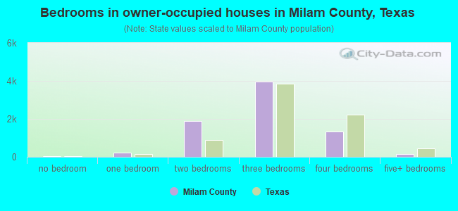 Bedrooms in owner-occupied houses in Milam County, Texas