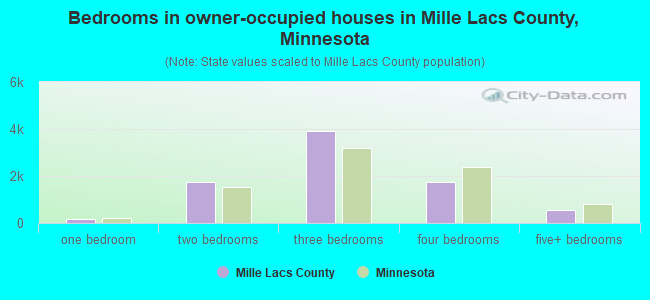 Bedrooms in owner-occupied houses in Mille Lacs County, Minnesota