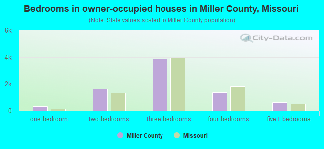 Bedrooms in owner-occupied houses in Miller County, Missouri