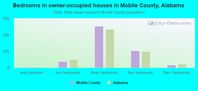 Bedrooms in owner-occupied houses in Mobile County, Alabama