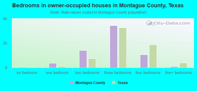 Bedrooms in owner-occupied houses in Montague County, Texas