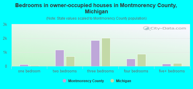 Bedrooms in owner-occupied houses in Montmorency County, Michigan