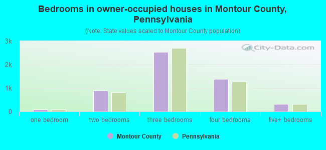 Bedrooms in owner-occupied houses in Montour County, Pennsylvania