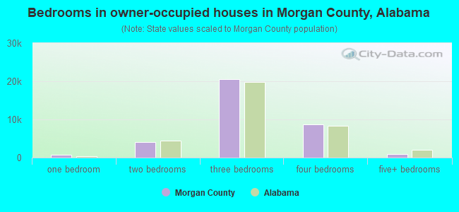 Bedrooms in owner-occupied houses in Morgan County, Alabama