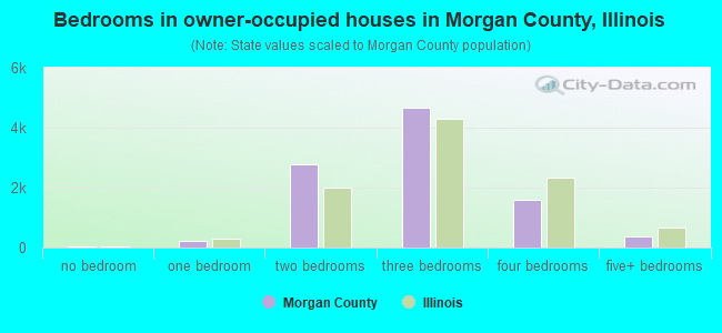 Bedrooms in owner-occupied houses in Morgan County, Illinois