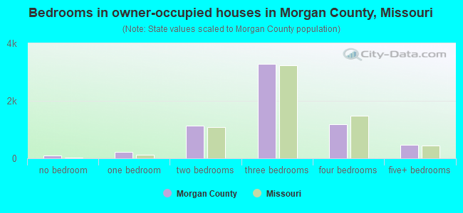 Bedrooms in owner-occupied houses in Morgan County, Missouri