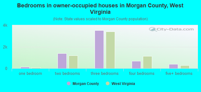 Bedrooms in owner-occupied houses in Morgan County, West Virginia