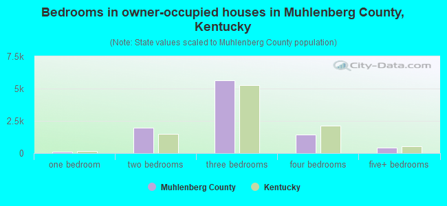 Bedrooms in owner-occupied houses in Muhlenberg County, Kentucky