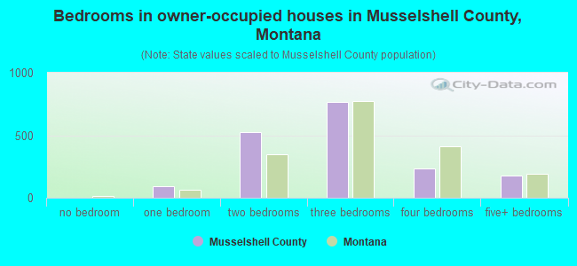 Bedrooms in owner-occupied houses in Musselshell County, Montana