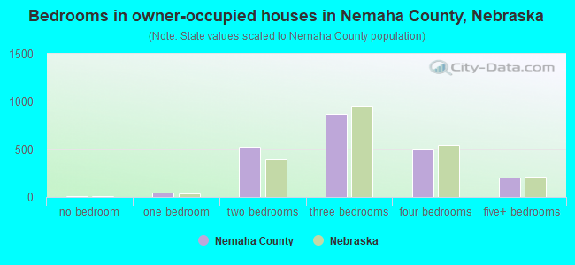 Bedrooms in owner-occupied houses in Nemaha County, Nebraska