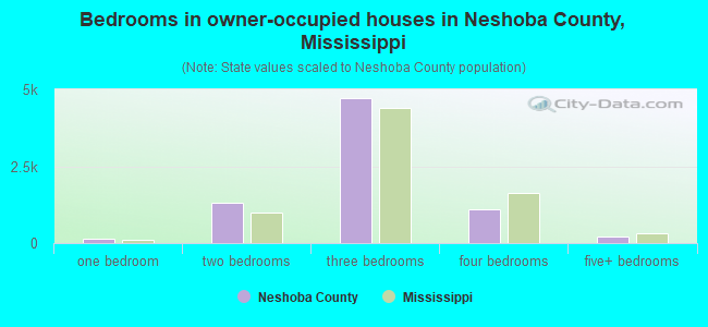 Bedrooms in owner-occupied houses in Neshoba County, Mississippi