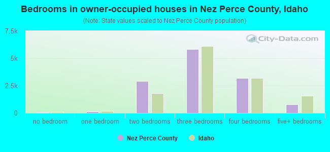 Bedrooms in owner-occupied houses in Nez Perce County, Idaho