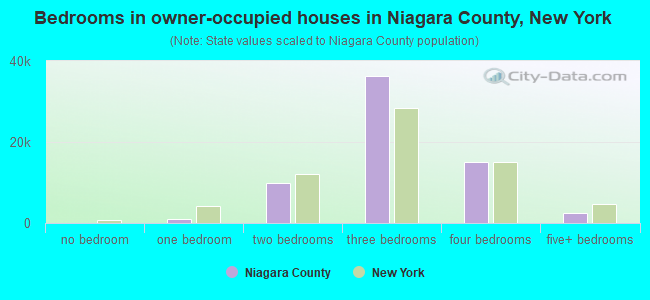 Bedrooms in owner-occupied houses in Niagara County, New York