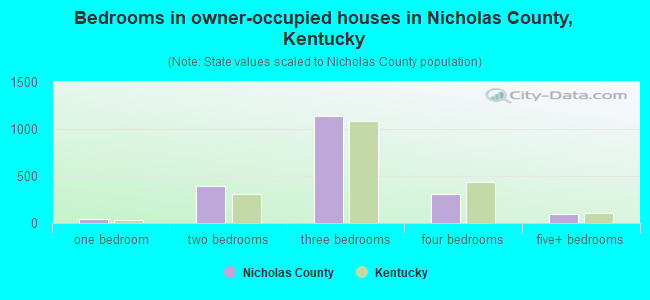 Bedrooms in owner-occupied houses in Nicholas County, Kentucky