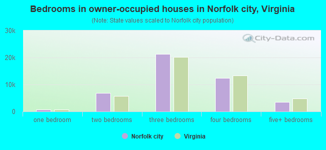 Bedrooms in owner-occupied houses in Norfolk city, Virginia