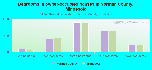 Bedrooms in owner-occupied houses in Norman County, Minnesota