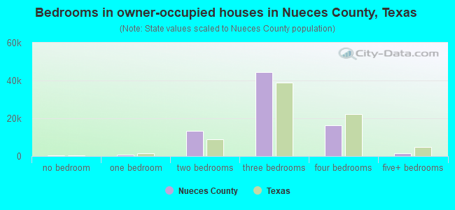 Bedrooms in owner-occupied houses in Nueces County, Texas