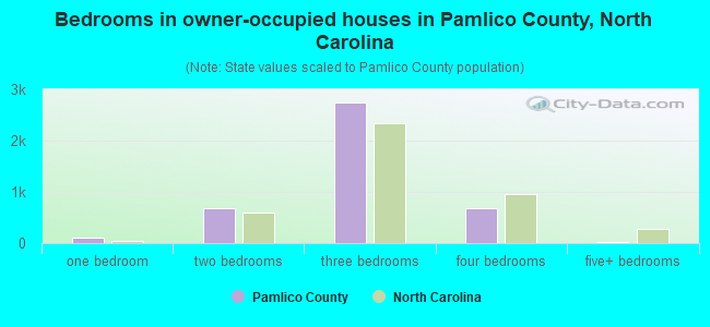 Bedrooms in owner-occupied houses in Pamlico County, North Carolina