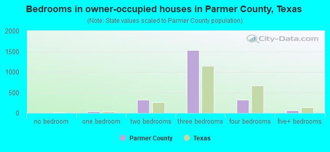 Bedrooms in owner-occupied houses in Parmer County, Texas