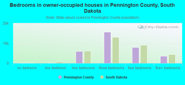 Bedrooms in owner-occupied houses in Pennington County, South Dakota