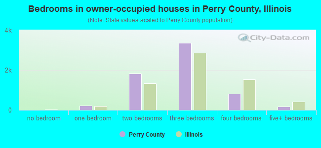 Bedrooms in owner-occupied houses in Perry County, Illinois