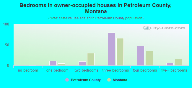 Bedrooms in owner-occupied houses in Petroleum County, Montana