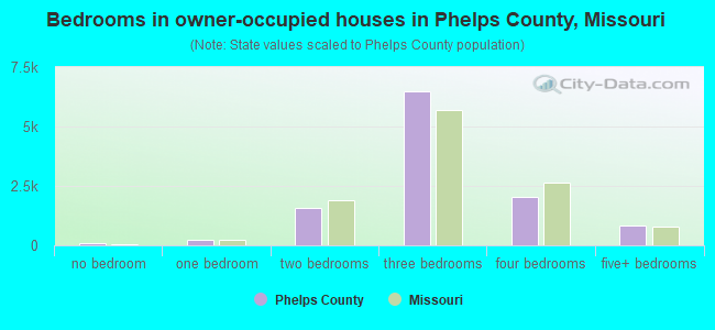 Bedrooms in owner-occupied houses in Phelps County, Missouri