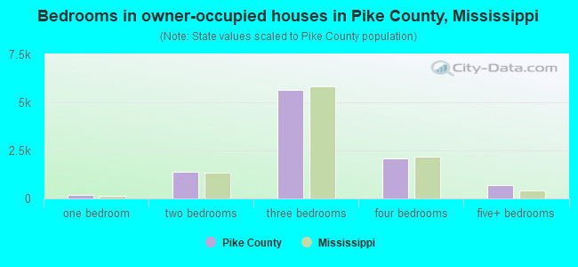Bedrooms in owner-occupied houses in Pike County, Mississippi