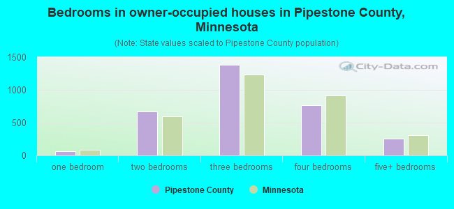 Bedrooms in owner-occupied houses in Pipestone County, Minnesota