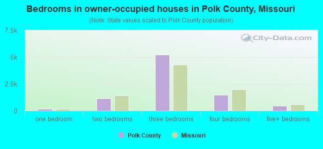 Bedrooms in owner-occupied houses in Polk County, Missouri
