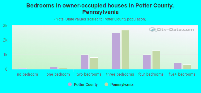 Bedrooms in owner-occupied houses in Potter County, Pennsylvania