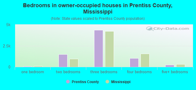 Bedrooms in owner-occupied houses in Prentiss County, Mississippi