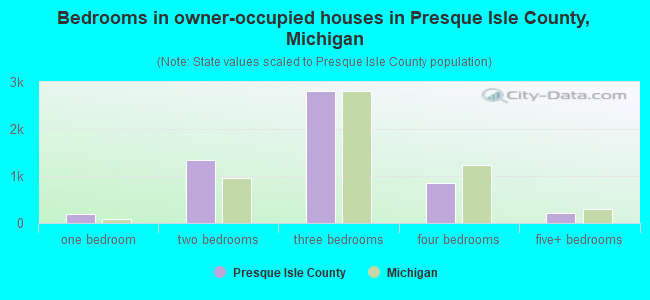 Bedrooms in owner-occupied houses in Presque Isle County, Michigan