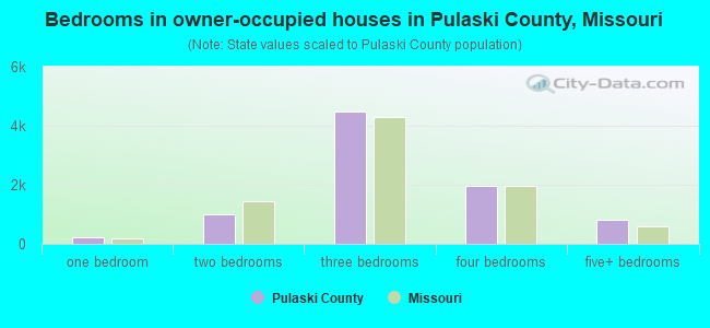 Bedrooms in owner-occupied houses in Pulaski County, Missouri